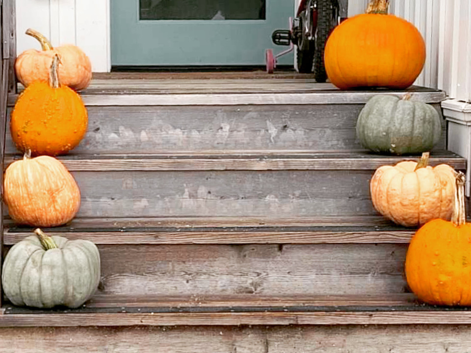 Pumpkins Pumpkins
