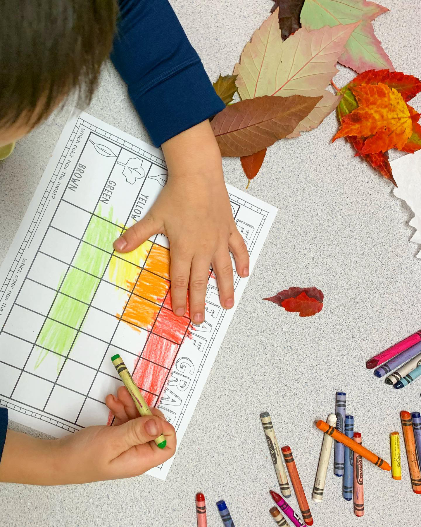 Leaf Graphing Leaf Graphing