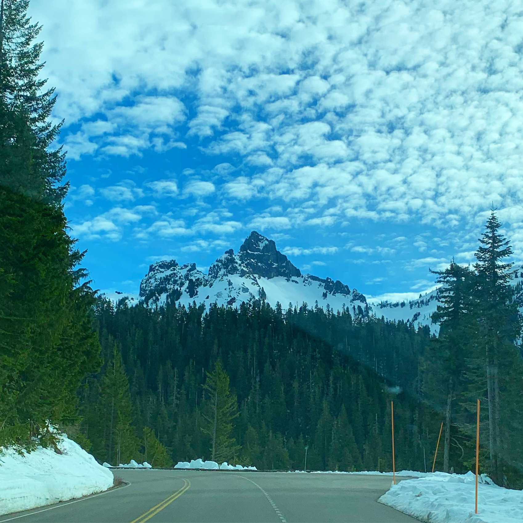 Mt. Rainier Family&nbsp;Adventure
