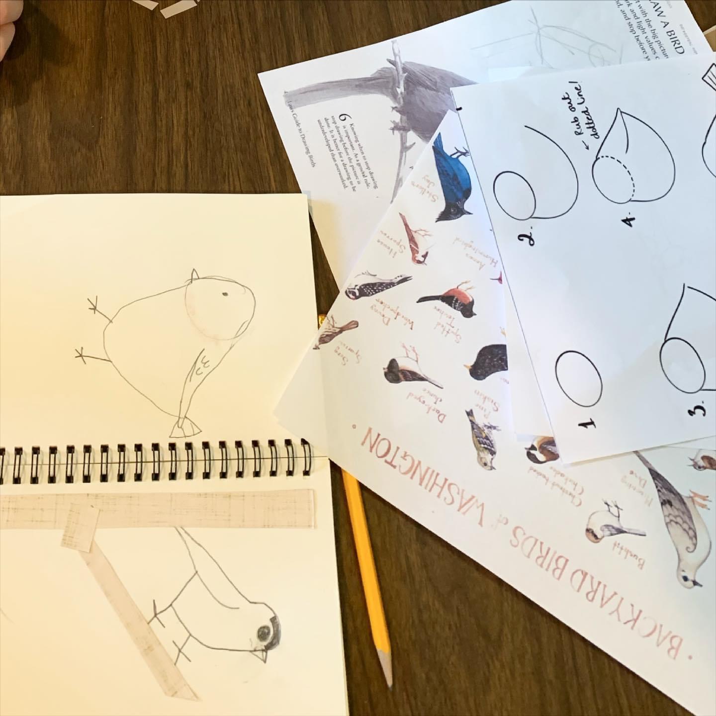 Nature Journals~ Bird&nbsp;Sketches