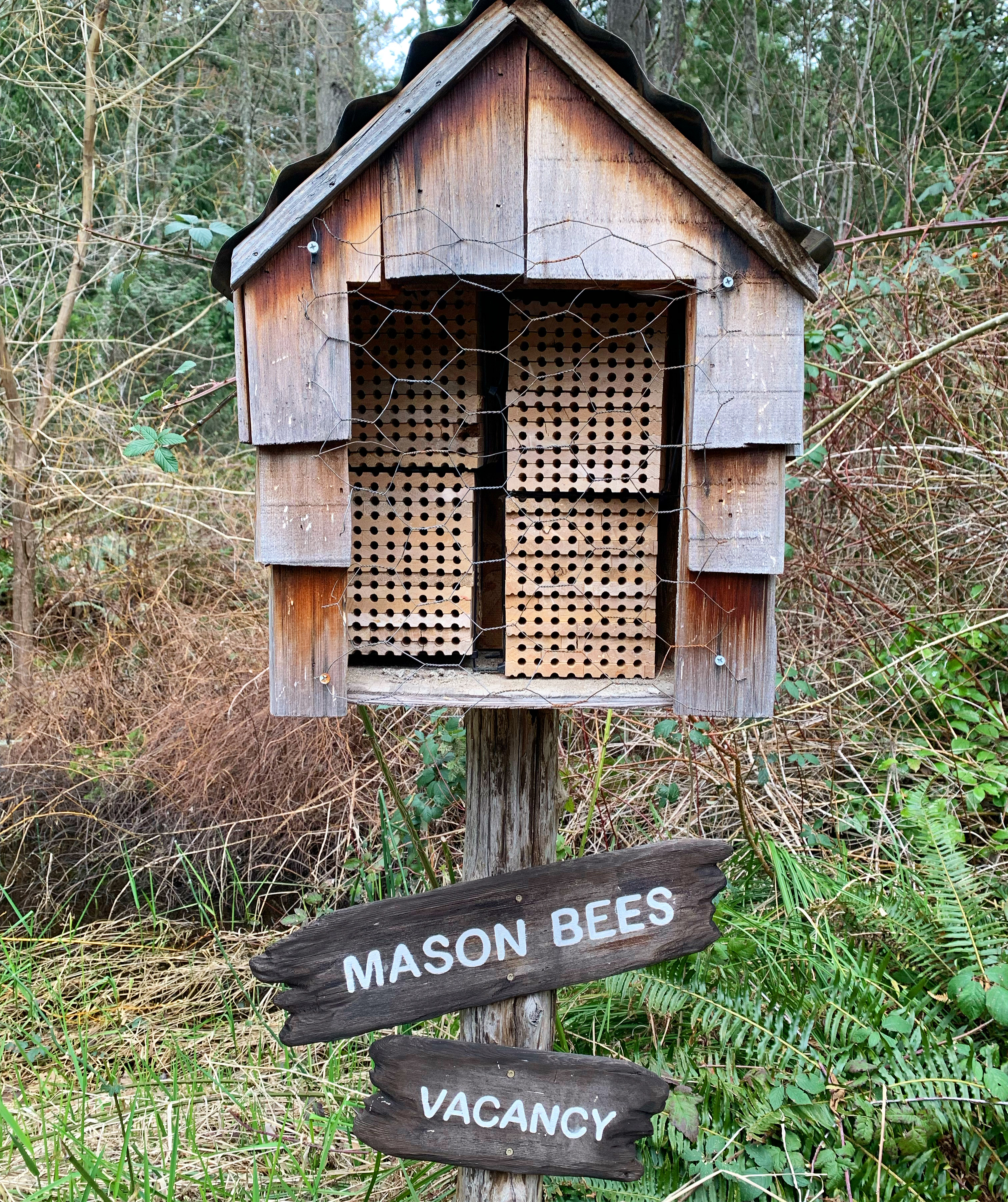 Mason Bee Lodge&nbsp;🐝