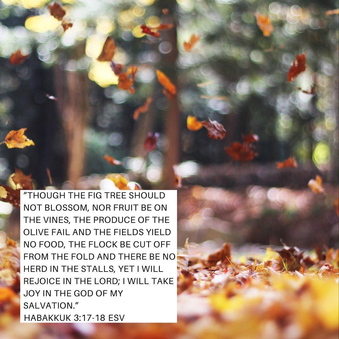 Gathered Thoughts Gathered Thoughts