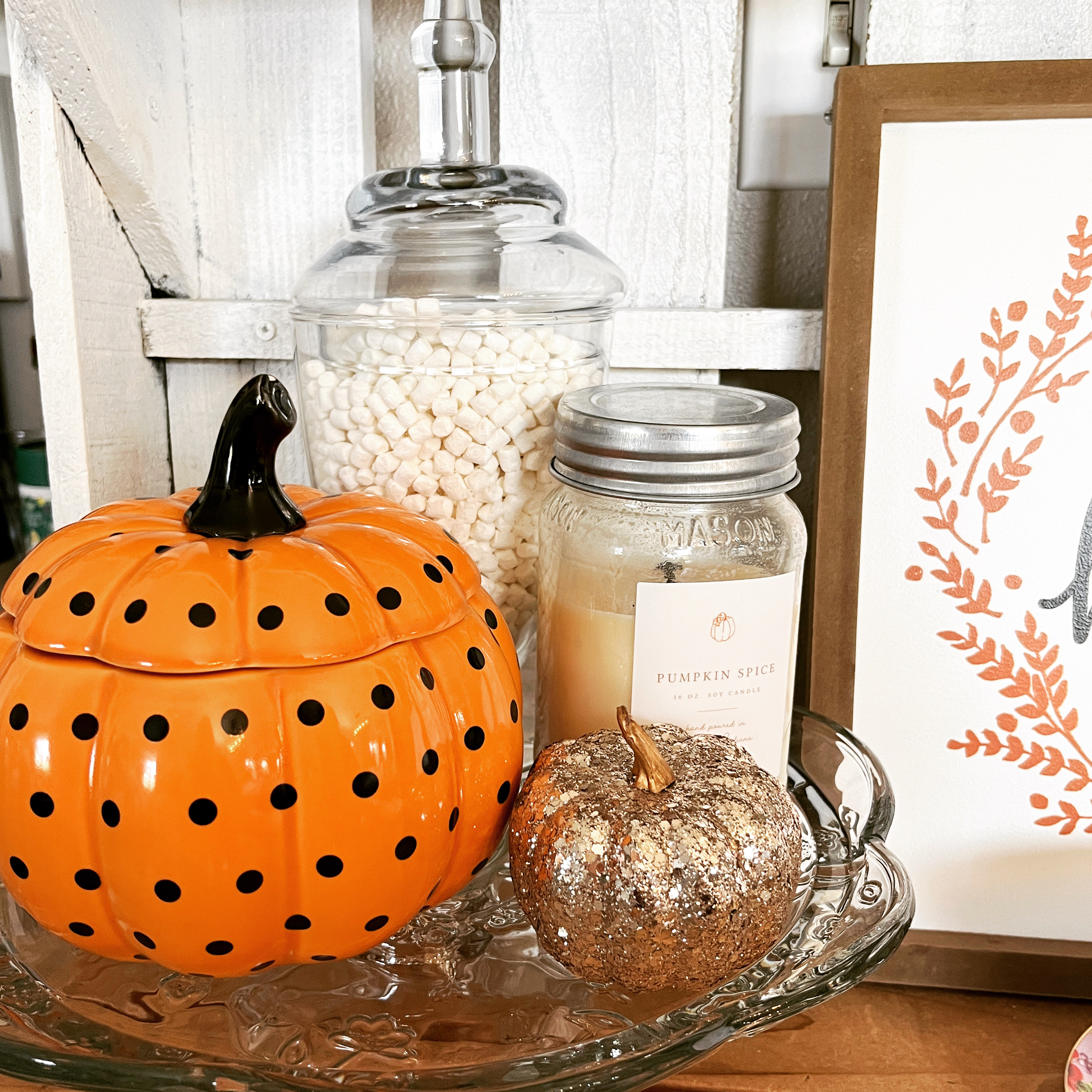 Pumpkin Season 🎃 Pumpkin Season 🎃