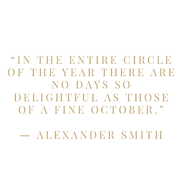 Delightful Days Delightful Days