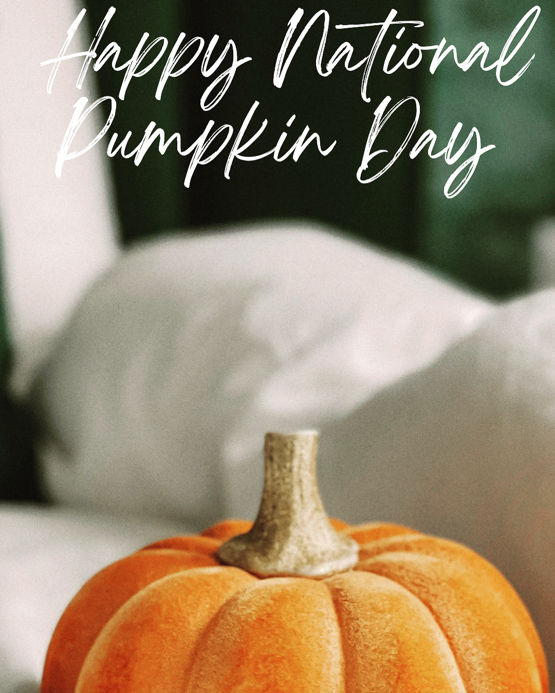 Happy Pumpkin Day 🎃 Happy Pumpkin Day 🎃