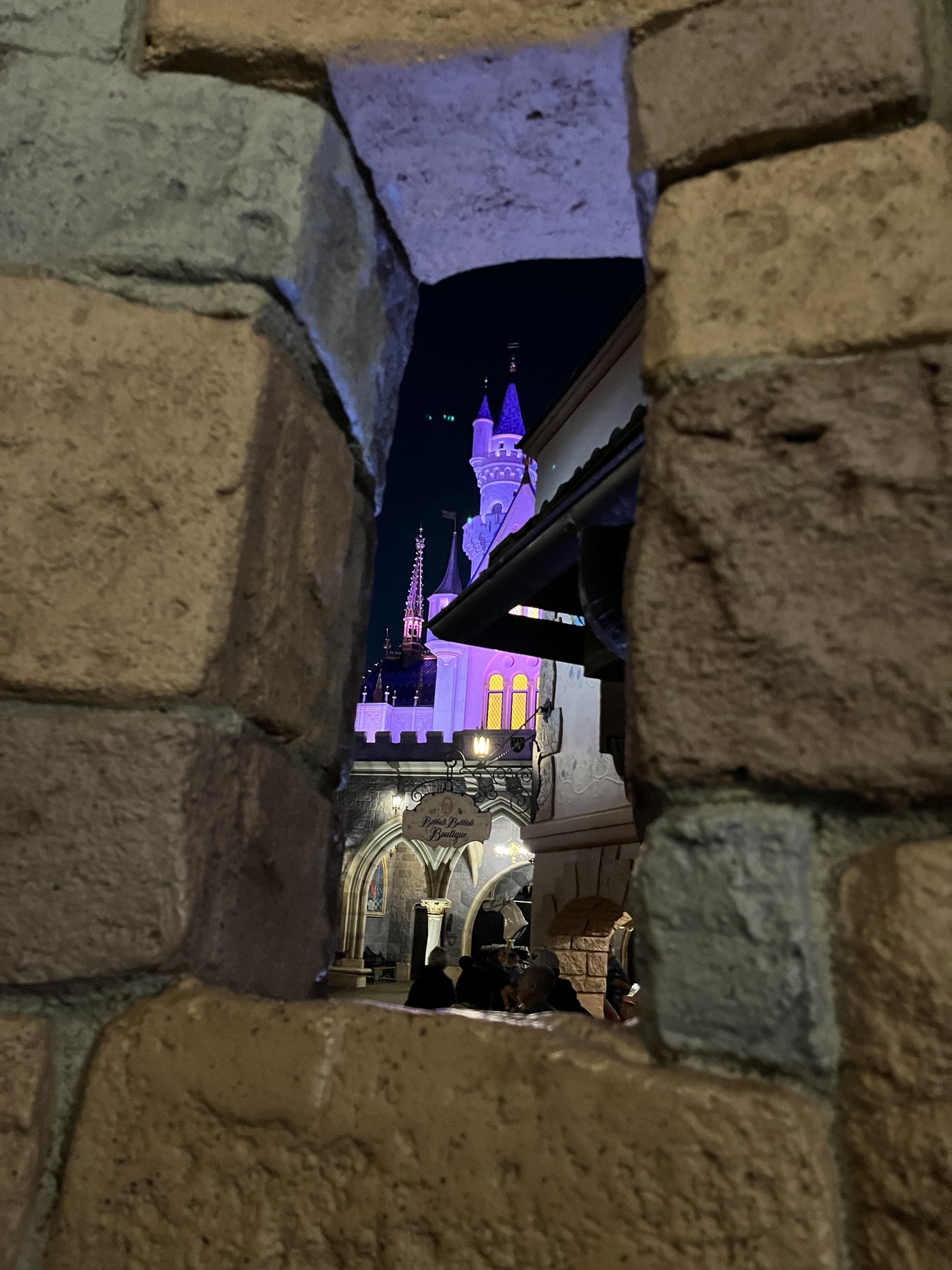 Peek of Disneyland&nbsp;Magic