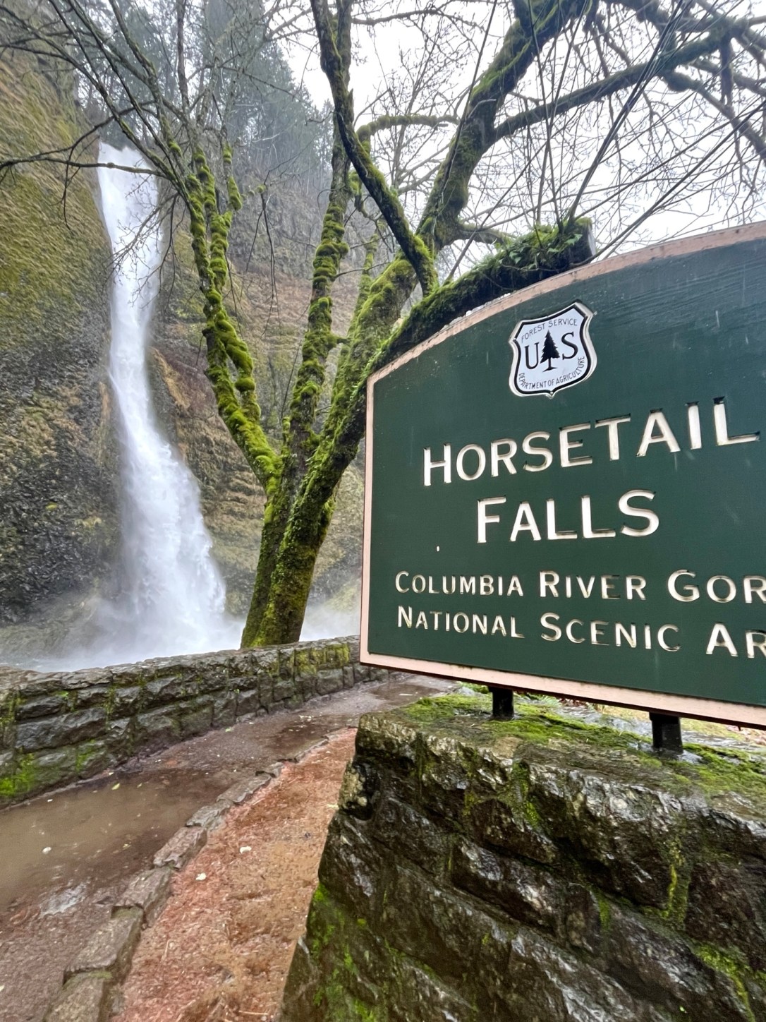 Columbia Gorge hiking waterfall historic highway