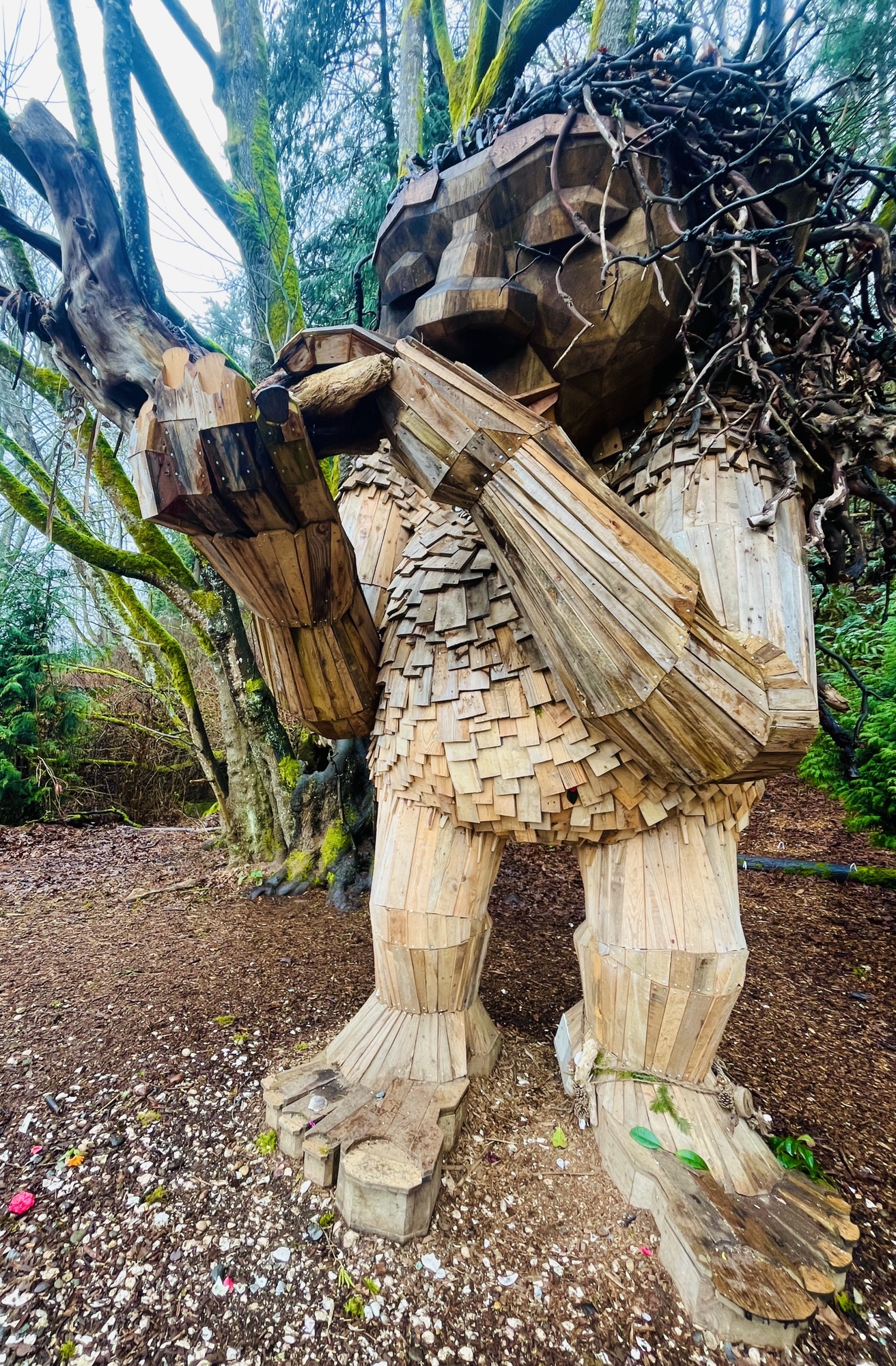 Bruun Idun, One of Thomas Dambo's Northwest Trolls ~West Seattle