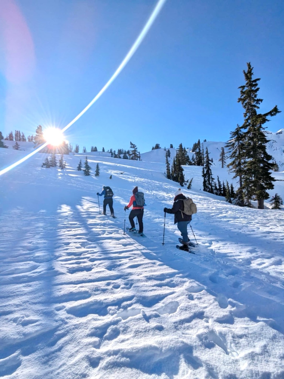 Artist Point Snowshow ~ Mt.Baker