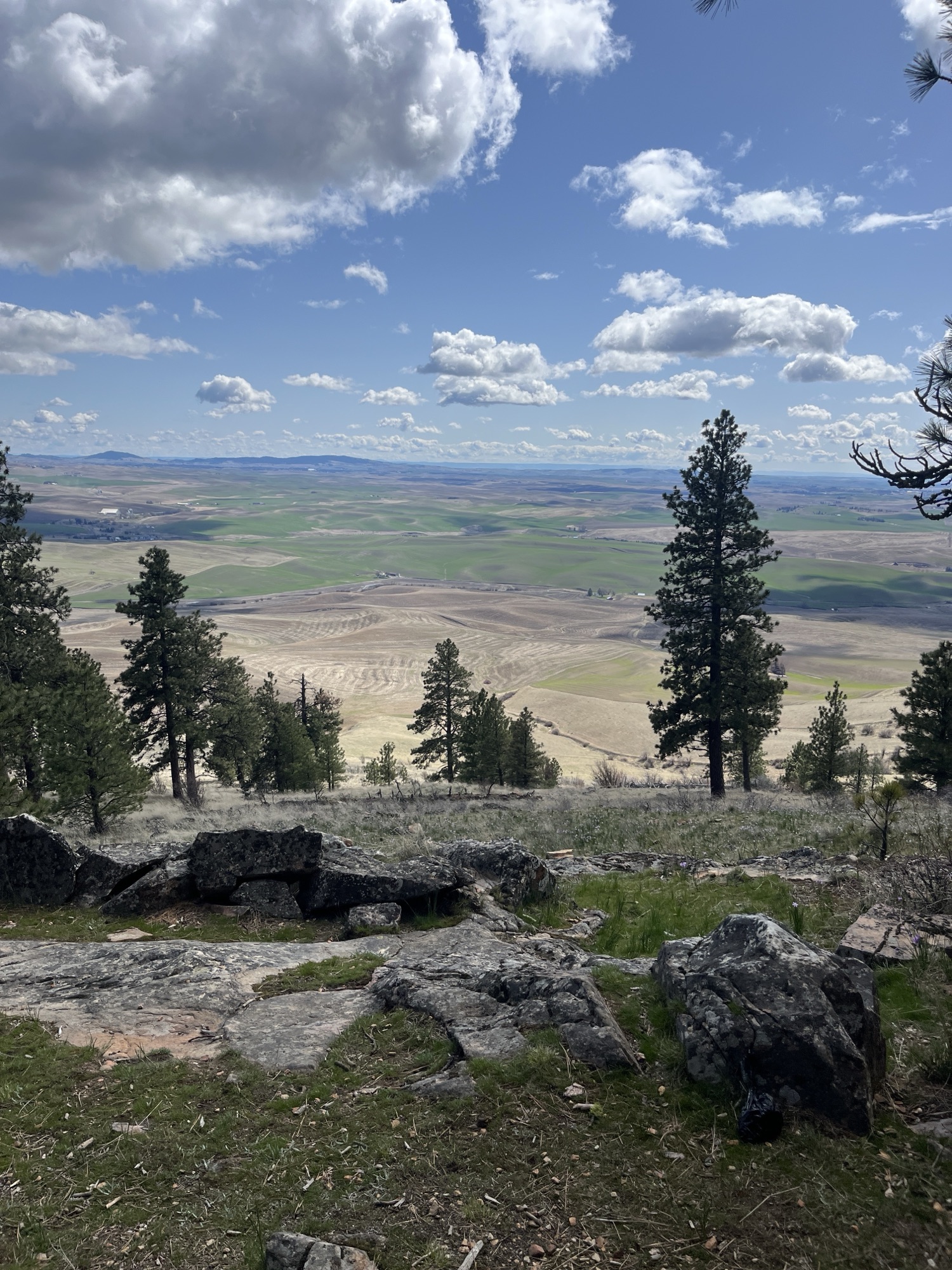 Kamiak Butte Trail