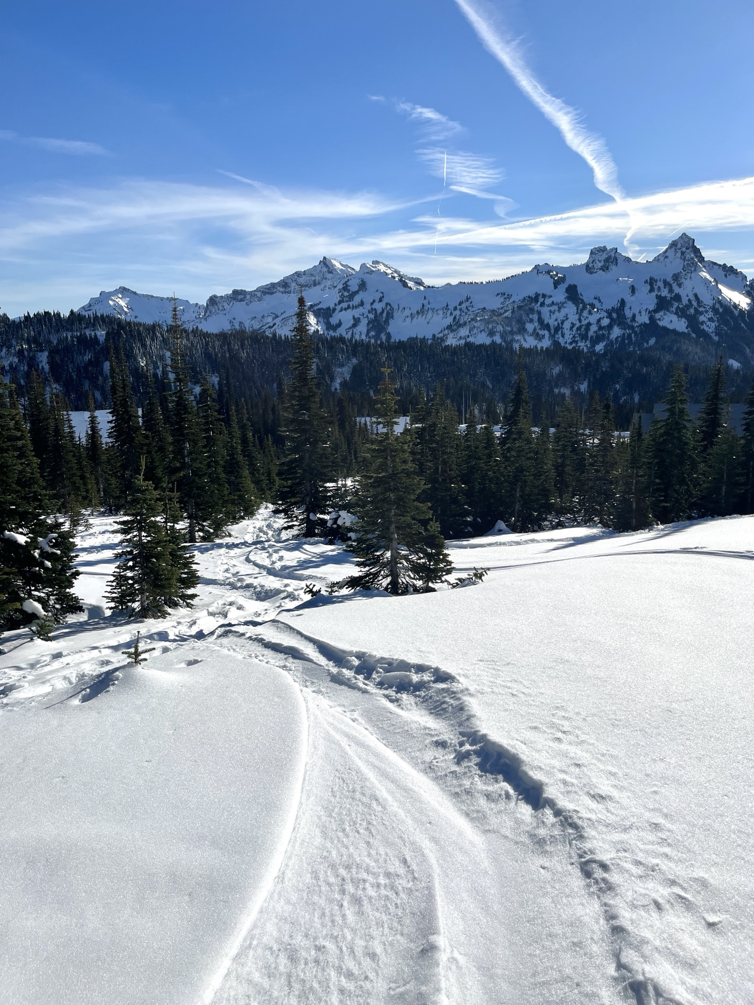 Snowshoeing Mt. Rainier With Kids: Myrtle Falls Trail&nbsp;Guide