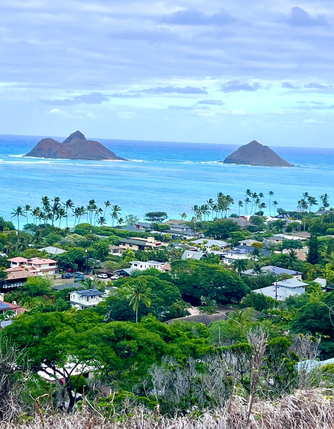 Hiking the Lanikai Pillbox Trail with Kids: What to Expect + Tips